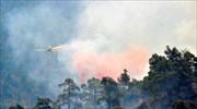 Τηλεφωνική επικοινωνία Αναστασιάδη - Τουσκ για τις πυρκαγιές στην Κύπρο