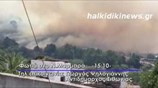 Δασική πυρκαγιά στον Μαρμαρά Χαλκιδικής