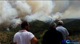 Μεγάλη πυρκαγιά σε δασική έκταση στα Δερβενοχώρια