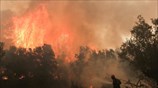 Μεγάλη πυρκαγιά σε δασική έκταση στα Δερβενοχώρια
