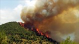 Μεγάλη πυρκαγιά σε δασική έκταση στα Δερβενοχώρια
