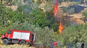 Δασική πυρκαγιά στο Απεσωκάρι Γόρτυνας στο Ηράκλειο Κρήτης