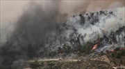 Ηράκλειο: Ενισχύθηκαν οι πυροσβεστικές δυνάμεις στο Απεσωκάρι της Μεσαράς