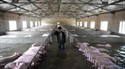 Ισχυρές βροχοπτώσεις και φονικές πλημμύρες στην Κίνα