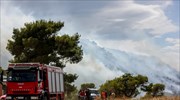 Υπό μερικό έλεγχο η πυρκαγιά στη Ναυπακτία