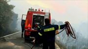 Υπό έλεγχο δύο πυρκαγιές στην Πελοπόννησο