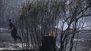 Πυρκαγιά σε ξερά χόρτα στο Πολύδροσο Αμαρουσίου