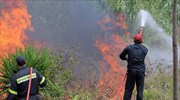 Υπό μερικό έλεγχο η πυρκαγιά στον Μαραθώνα