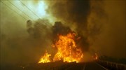Υπό μερικό έλεγχο η πυρκαγιά στο Μαρμάρι Καρύστου