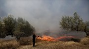 Υπό μερικό έλεγχο οι πυρκαγιές σε Γόννους Λάρισας, Λαγονήσι