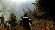Δασική πυρκαγιά στην περιοχή Δοβρά στον Δήμο Βέροιας