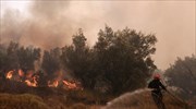 Πυρκαγιά στην Αιγάνη Λάρισας