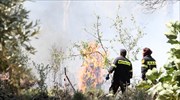Πολύ υψηλός κίνδυνος πυρκαγιάς την Τετάρτη σε νησιωτική χώρα, Αττική και Εύβοια