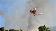 Υπό μερικό έλεγχο η πυρκαγιά στο Κολυμβάρι Χανίων