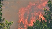 Υπό μερικό έλεγχο η πυρκαγιά στο Νεοχώρι Ζίτσας
