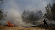 Σε ύφεση η πυρκαγιά στο Σελάκανο - Στάχτη μεγάλες εκτάσεις γης