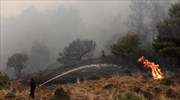 Πυρκαγιά στην περιοχή Καστελλιανών Ηρακλείου