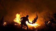 Υπό μερικό έλεγχο η πυρκαγιά στον Πολύγυρο Χαλκιδικής