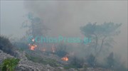 Και ο στρατός στη μάχη με τις φλόγες στη Χίο