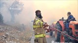 Μεγάλες καταστροφές από την πυρκαγιά στη νότια Χίο