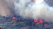 Ενισχύσεις στη μάχη με τις φλόγες στη Χίο