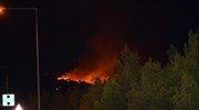 Υπό έλεγχο η πυρκαγιά στη Βούντενη Πάτρας