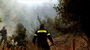 Υπό μερικό έλεγχο η πυρκαγιά στη Μεγάλη Παναγιά Χαλκιδικής