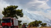 Πυρκαγιά σε δασική έκταση στη Νέα Ραιδεστό Θεσσαλονίκης