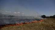 Υπό μερικό έλεγχο η πυρκαγιά στη Νέα Ραιδεστό