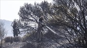 Πυρκαγιά στην περιοχή Φαράκλα της βόρειας Εύβοιας