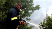 Υπό μερικό έλεγχο η πυρκαγιά στο Παγγαίο Όρος