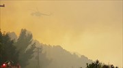 Ενισχύονται και οι επίγειες δυνάμεις στην πυρκαγιά στη βόρεια Εύβοια