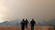 Υπό μερικό έλεγχο η πυρκαγιά στην Κέα
