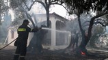 Πυρκαγιά στη βόρεια Εύβοια