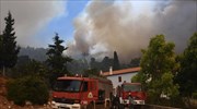 Ν. Τόσκας: Λίγο καλύτεροι οι οιωνοί για την κατάσβεση της πυρκαγιάς στην βόρεια Εύβοια