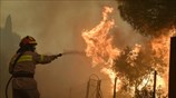 Εύβοια: Συνεχίζονται οι προσπάθειες κατάσβεσης της πυρκαγιάς