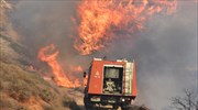 Υπό μερικό έλεγχο η πυρκαγιά στην περιοχή Λευκάκια στο Ναύπλιο