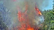 Πυρκαγιά στις Βασιλειές Ηρακλείου Κρήτης