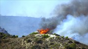 Υπό έλεγχο η φωτιά σε Θρακομακεδόνες