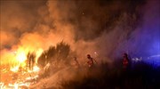 Μάχη με τις φλόγες στην Πορτογαλία