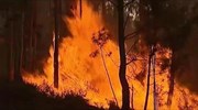 Μεγάλες πυρκαγιές στην Πορτογαλία