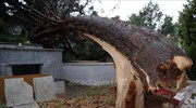 Ζημιές στο νεκροταφείο της Τρίπολης λόγω ισχυρών ανέμων