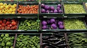 Fruit & vegetable exports post impressive gains in H1 2016
