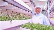 Ιαπωνία: Κάθετη φάρμα εσωτερικού χώρου παράγει 12.000 μαρούλια την ημέρα με φωτισμό LED