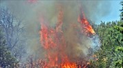 Πυρκαγιά σε δασική έκταση στην Κατούνα Αιτωλοακαρνανίας