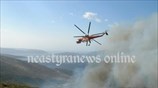 Πυρκαγιά στο Πόρτο Λάφια Εύβοιας