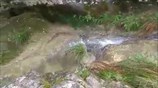 Πτώση βράχου στο Πολυλίμνιο Μεσσηνίας