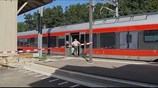 Ελβετία: Επίθεση με μαχαίρι και εύφλεκτο υγρό σε τρένο
