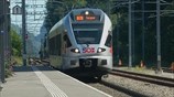 Ελβετία: Μία νεκρή μετά την επίθεση σε τρένο, υπέκυψε και ο δράστης