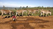 Η Αιθιοπία στην προεδρία του «Φόρουμ Κλιματικά Ευάλωτων Χωρών»